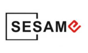 Sesame Security Systems
